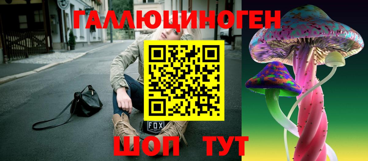 Лесосибирск  Галлюциногенные грибы Psilocybe  Вход с VPN 
