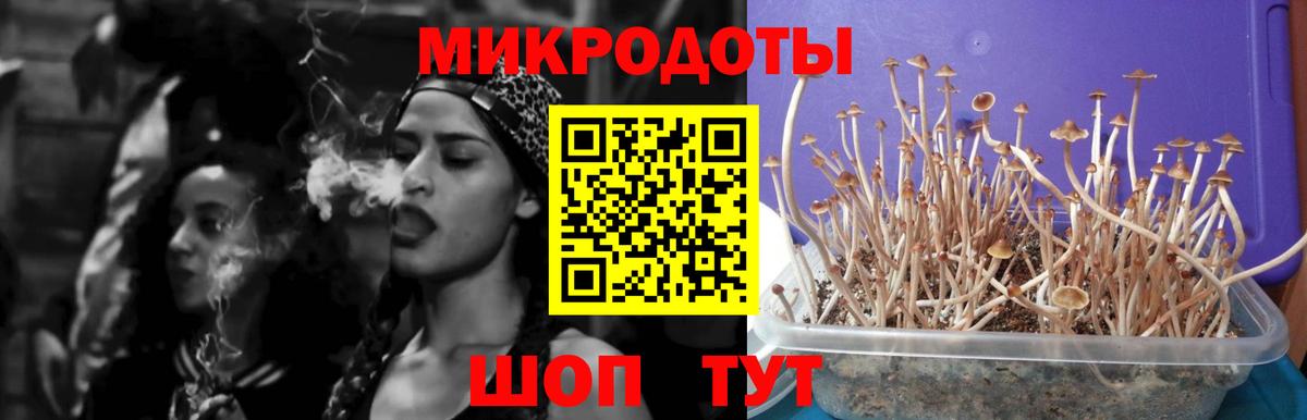 Псилоцибиновые грибы ЛСД Лесосибирск